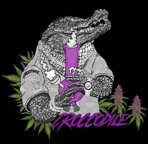 perfil Croccodile Shop